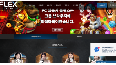 【카지노사이트】 플렉스카지노 FLEX CASINO