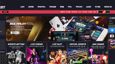 먹튀확정 멀티플레이 (MULTIPLAY) 먹튀사이트