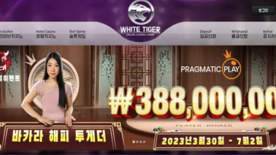 먹튀확정 백호카지노 (WHITE TIGER) 먹튀사이트