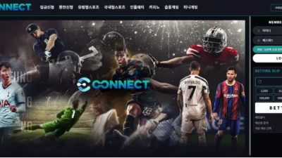 먹튀확정 커넥트 (CONNECT) 먹튀사이트