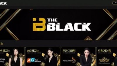 먹튀확정 더블랙 (THEBLACK) 먹튀사이트