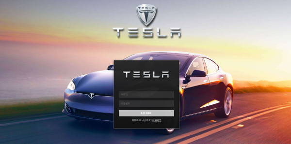 테슬라 (TESLA)