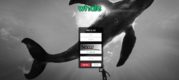 토토사이트 고래 (WHALE)