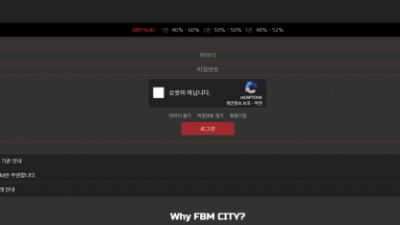 FX사이트 에프비엠시티 fbmcity1.com 사설FX FBMCITY