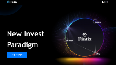 FX사이트 핀티즈 fintiz.com 사설 FX FINTIZ 정보없음